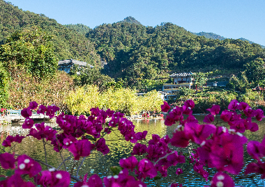 春風(fēng)拂面桃花開(kāi) | 春天在北溪文苑相遇！