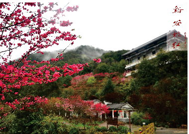 北溪十二景之溪谷桃紅